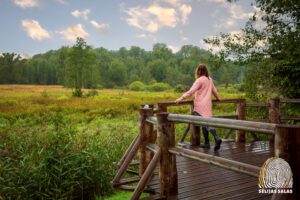 Eglones dabas liegums