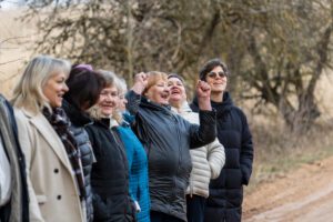 Veido Sēlijas cilvēkresursu katalogu “Lietaskoks”