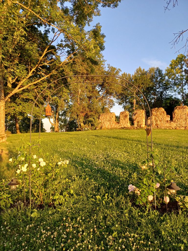 Darba foto