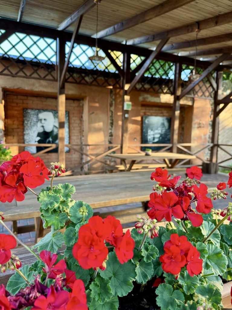 Darba foto